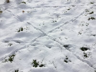 IMG_8055.jpeg