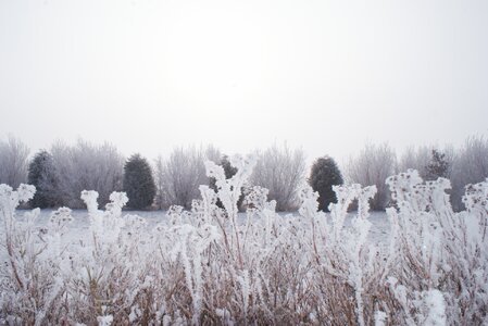 2012-02-11 087 (1920x1285).jpeg