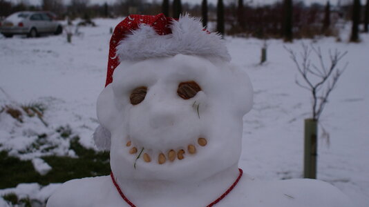 2009 0205 snowman head.jpeg