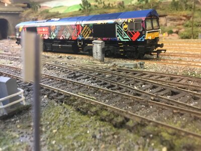 IMG_2503.jpeg