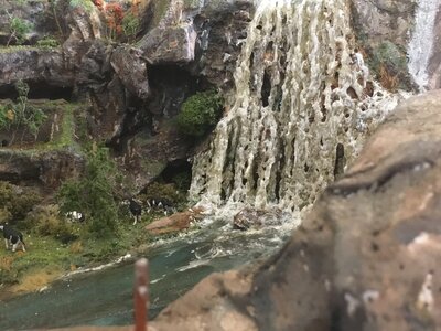 IMG_8515.jpeg