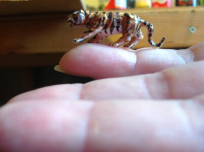 IMG_9173.jpeg