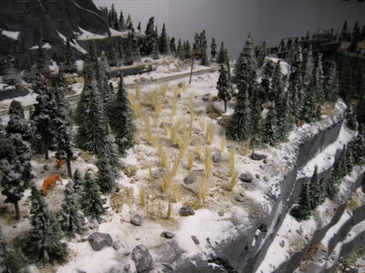 IMG_0123.jpg