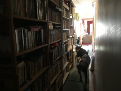 IMG_1939.jpeg