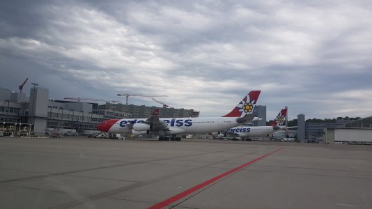 20190620_101953.jpg
