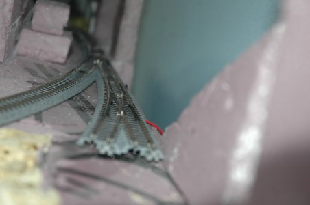 DSC_3549.JPG