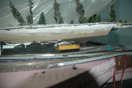 DSC_3550.JPG