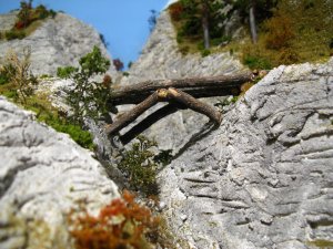 IMG_1264.JPG