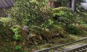 scenery333.jpg