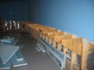 IMG_5310.jpg