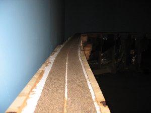 IMG_5401.JPG