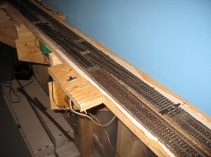 IMG_5522.jpg