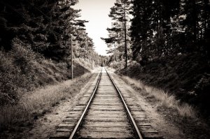 4544193-53997-old-sepia-railroad-tracks-going-through-a-forest.jpg