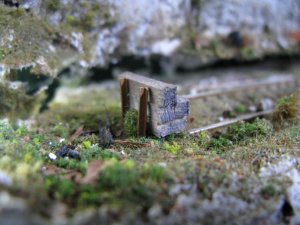 IMG_3885.JPG