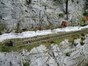 IMG_3907.JPG