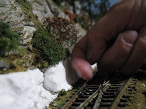 IMG_3911.JPG