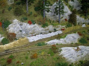 IMG_3913.jpg