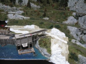 IMG_3945.JPG
