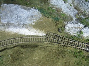 IMG_3953.jpg