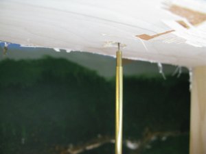 IMG_4012.JPG