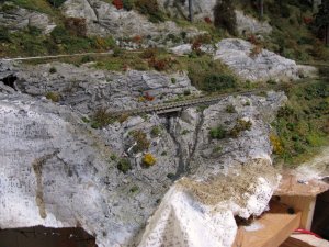 IMG_4076.JPG