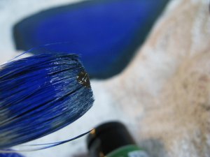 IMG_4088.JPG