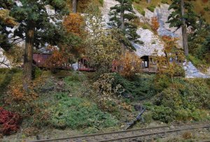 through the forest.jpg