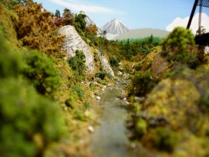 IMG_26851.jpg