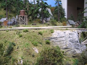 IMG_5173.JPG