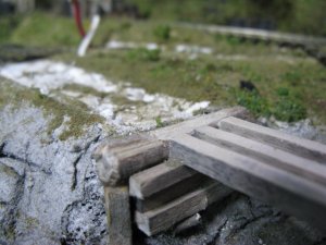 IMG_5182.JPG
