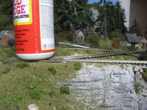 IMG_5217.JPG