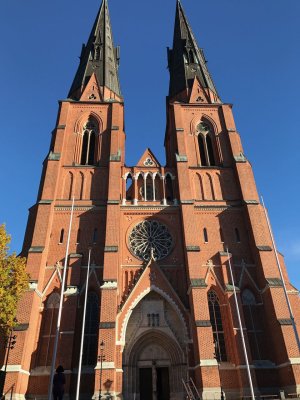 IMG_0052.jpeg