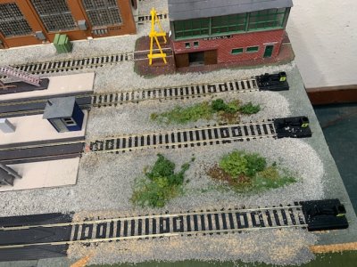 IMG_0991.jpg