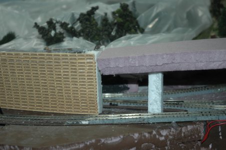 DSC_3590.JPG