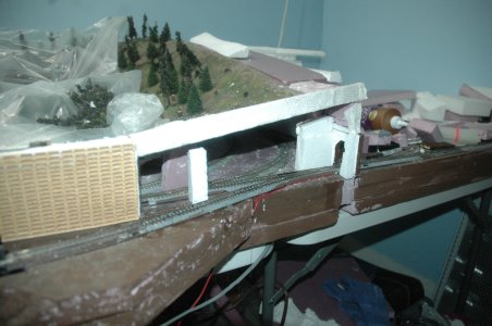 DSC_3593.JPG