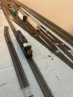 IMG_3396.jpeg