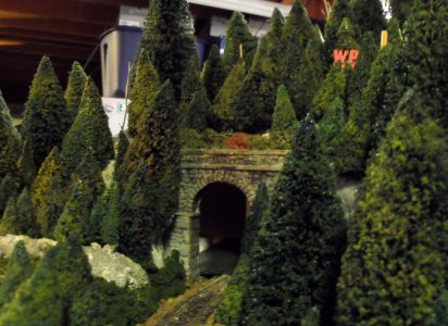 DSCF5197.JPG