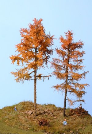 dio lariksen herfst Klform mbbgroveden2017.jpg