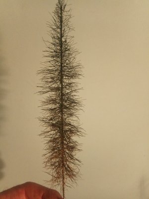 wire & 2 x 12 mm fibres & coloured   spray - kopie.jpg