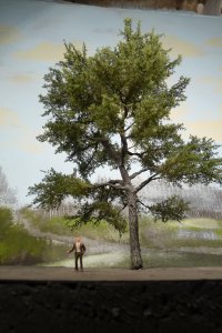 H0 treemaart2013.jpg