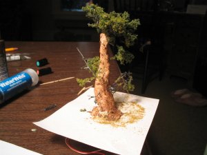 IMG_5012.JPG