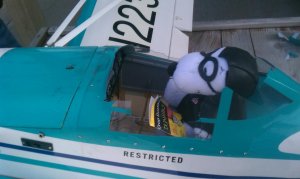plane 3.jpg