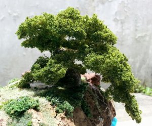 cascade.jpg