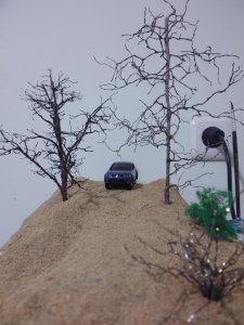 frame trees.jpg