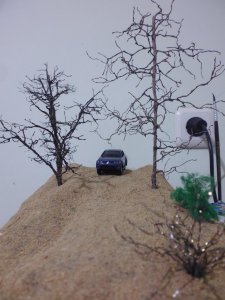 frame trees resize.jpg