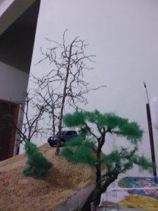 tree and frame.jpg