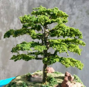 tree 06.jpg