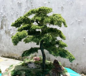 tree 03.jpg