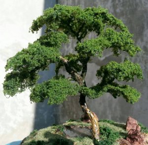 tree 05.jpg