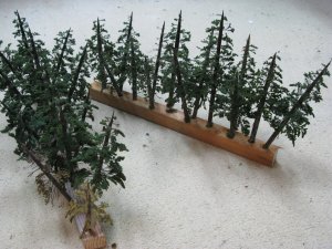 IMG_5753.JPG